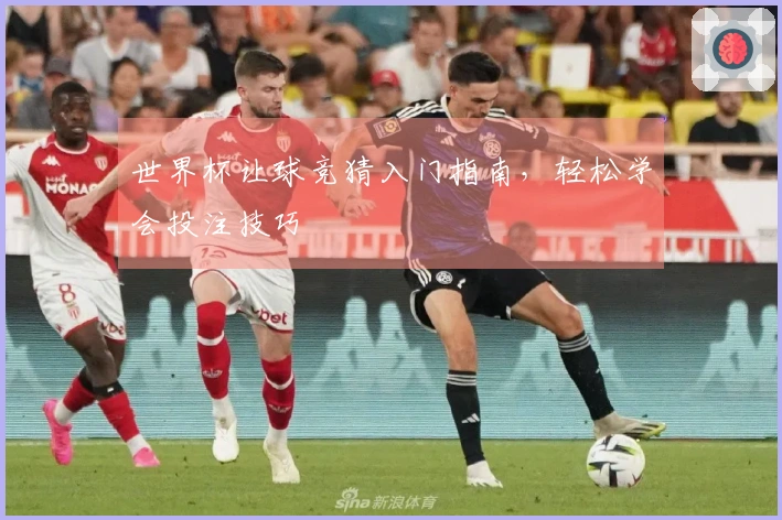 世界杯让球竞猜入门指南，轻松学会投注技巧