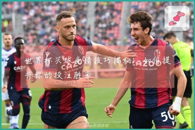 世界杯买球竞猜技巧揭秘：如何提升你的投注胜率
