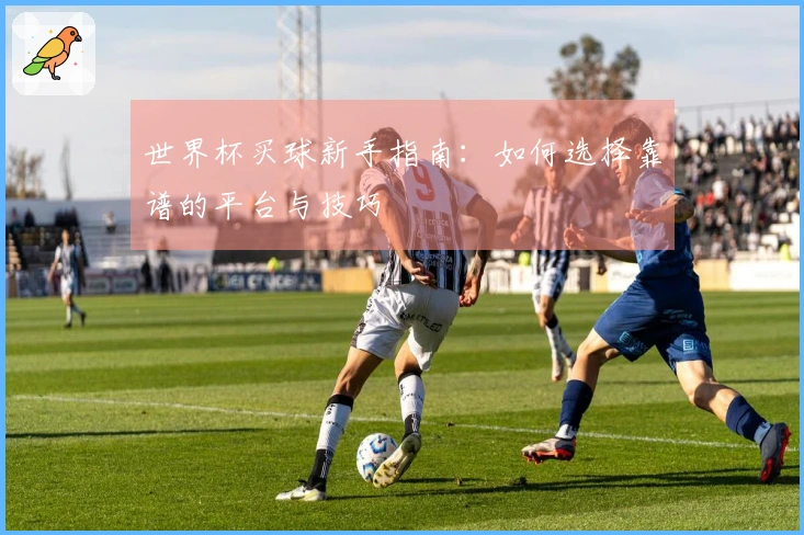 世界杯买球新手指南：如何选择靠谱的平台与技巧
