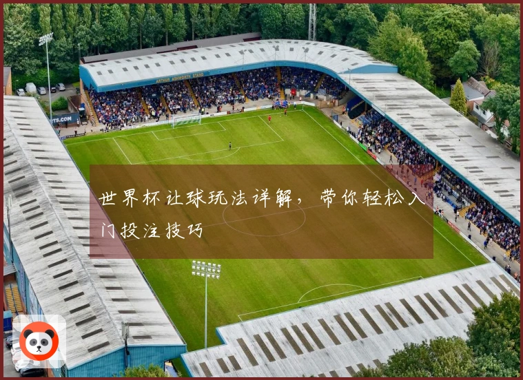 世界杯让球玩法详解，带你轻松入门投注技巧