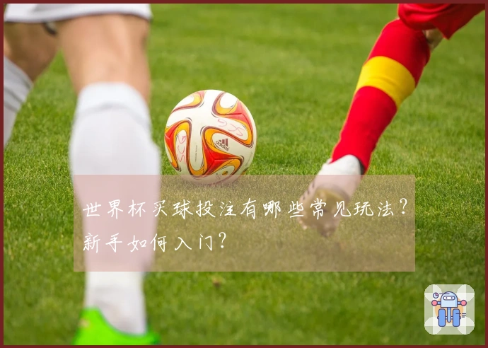 世界杯买球投注有哪些常见玩法？新手如何入门？