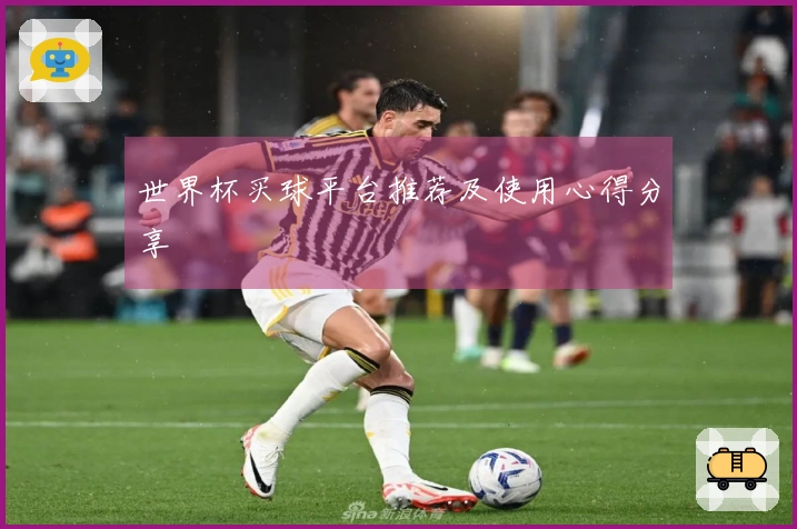 世界杯买球平台推荐及使用心得分享