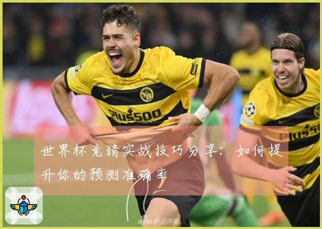 世界杯竞猜实战技巧分享：如何提升你的预测准确率