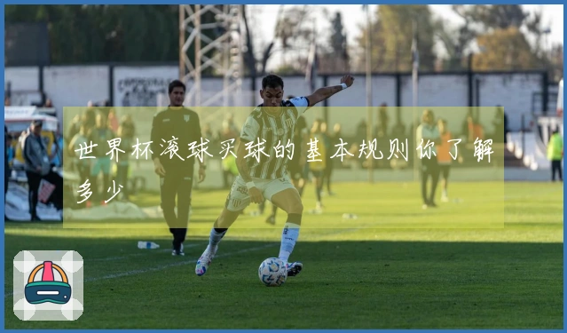 世界杯滚球买球的基本规则你了解多少