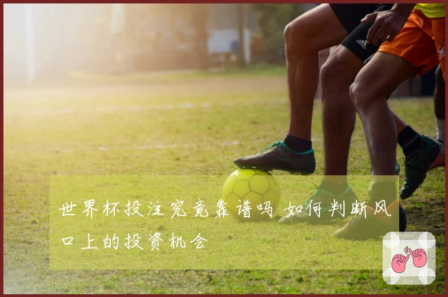 世界杯投注究竟靠谱吗 如何判断风口上的投资机会