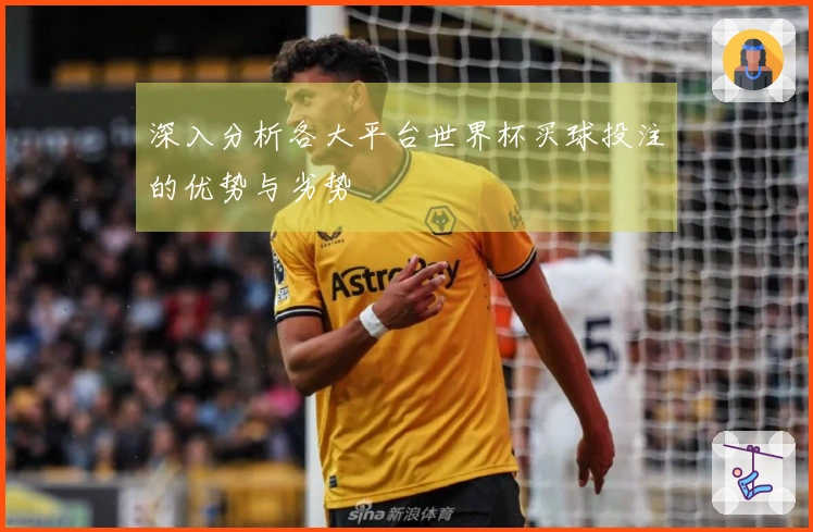 深入分析各大平台世界杯买球投注的优势与劣势