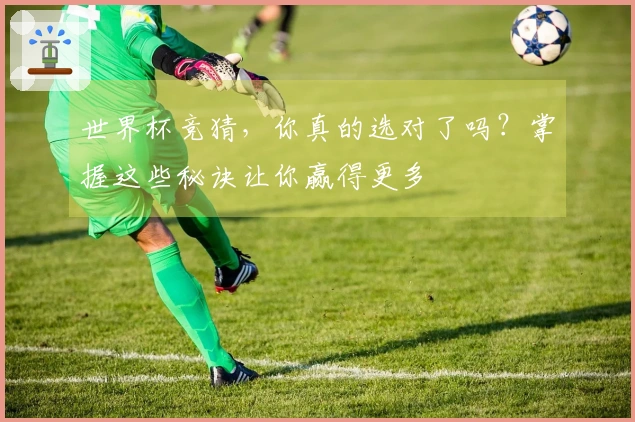 世界杯竞猜，你真的选对了吗？掌握这些秘诀让你赢得更多