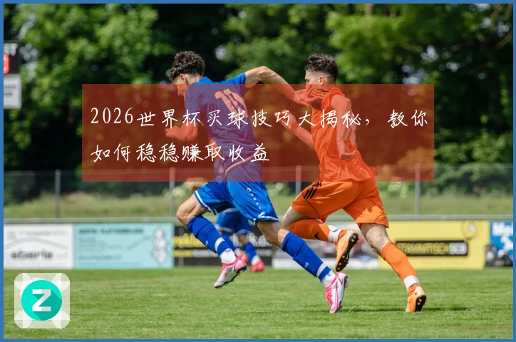 2026世界杯买球技巧大揭秘，教你如何稳稳赚取收益