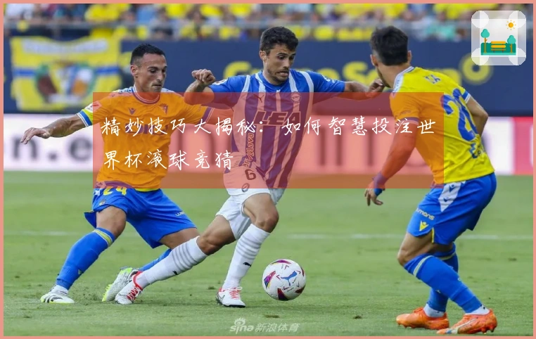 精妙技巧大揭秘：如何智慧投注世界杯滚球竞猜