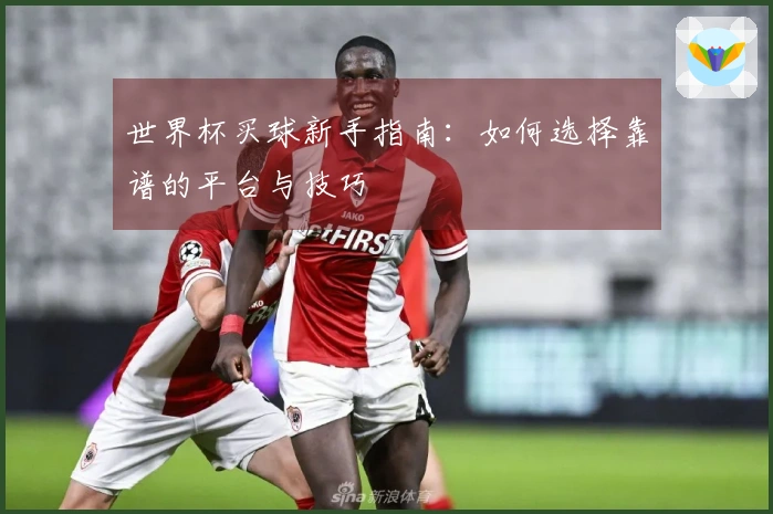 世界杯买球新手指南：如何选择靠谱的平台与技巧