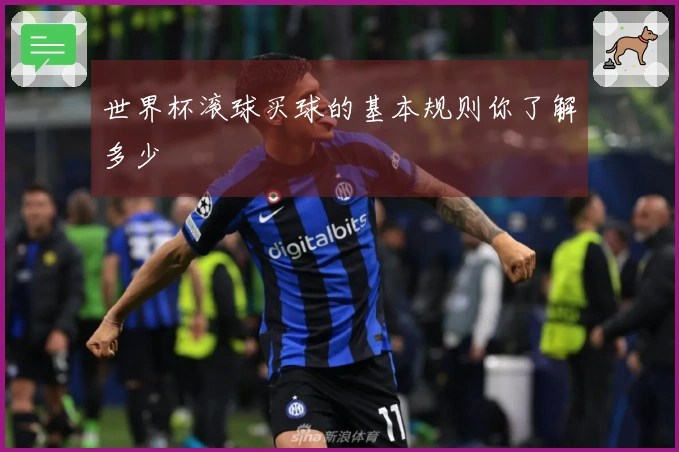 世界杯滚球买球的基本规则你了解多少
