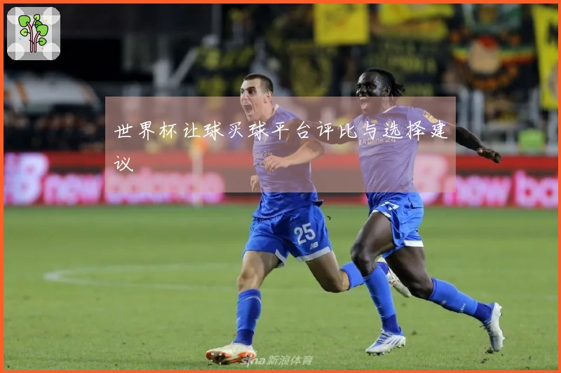 世界杯让球买球平台评比与选择建议